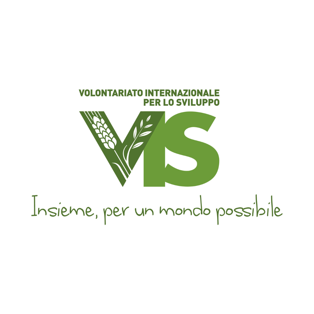 logo vis